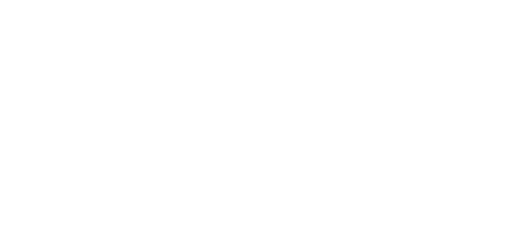 LEVA SRL-Igienizzanti